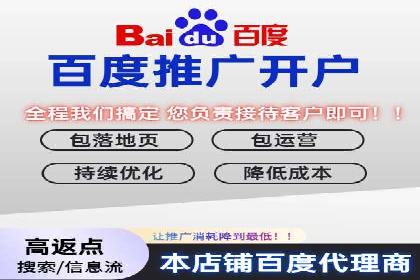 搜索引擎营销（SEM）的投放策略与效果评估——以某行业领先企业的案例分析